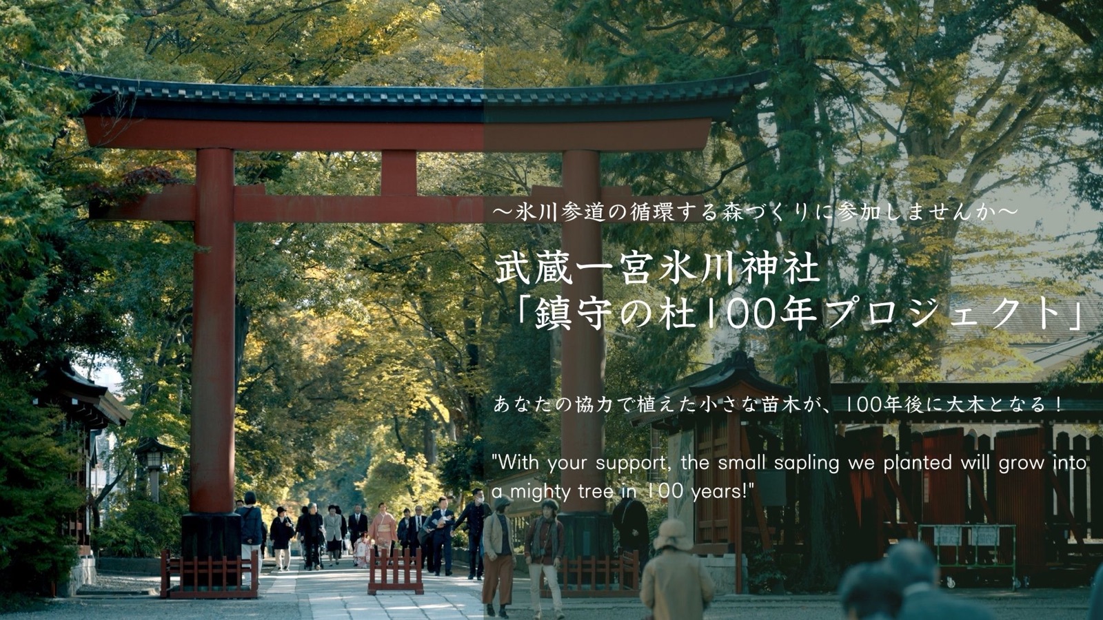 武蔵一宮氷川神社 鎮守の杜100年プロジェクト