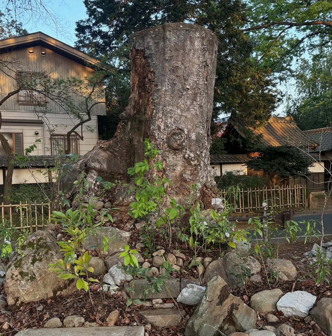 Instagram投稿